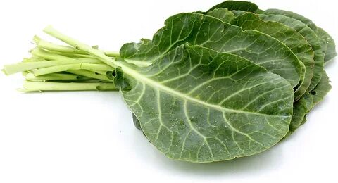 Collard Greens Information and Facts