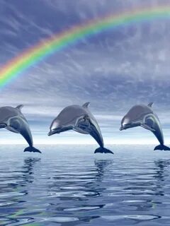 Free download HD wallpapers Beautiful Dolphins HD Wallpapers