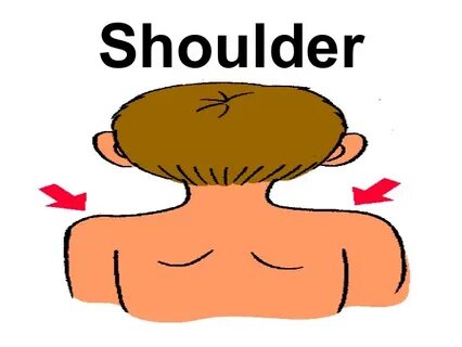Shoulder clipart body part - Pencil and in color shoulder cl