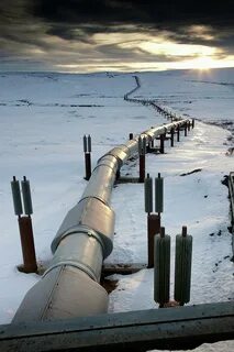 Trans-alaska Pipeline Photograph by Chris Madeley Pixels