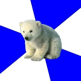 First World Problem Polar Bear Meme Generator