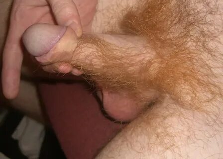 Hairy Ginger Cock