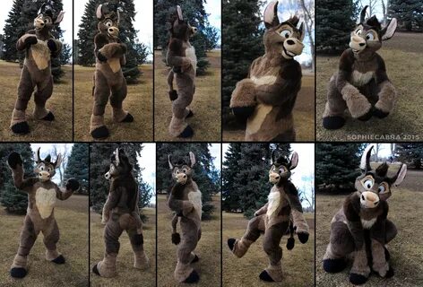 Fursuit - Donkey by SophieCabra -- Fur Affinity dot net