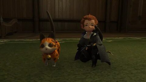 Ffxi Pup Guide : Final Fantasy XIV Patch 4.1 Details and Gui