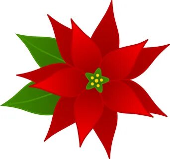 Poinsettia clipart - Pencil and in color poinsettia clipart 