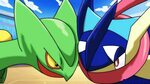 Ash Greninja vs Mega Sceptile Compliation Pokémon Amino