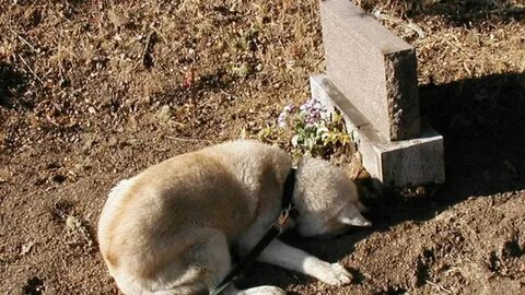 Gravestones For Dogs