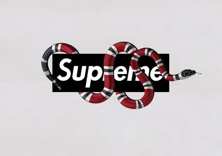 Supreme x Gucci - Xztals