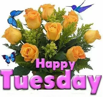 Happy Tuesday Flowers Happy tuesday, Flowers, Trees to plant