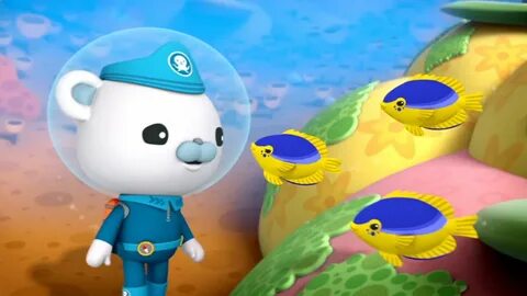 Octonauts Damselfish Related Keywords & Suggestions - Octona