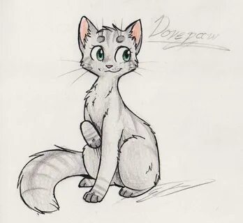 Warriors - Dovepaw Warrior cat, Warrior drawing, Warrior cat