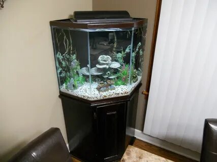 Newest 44 gallon pentagon aquarium hood Sale OFF - 54