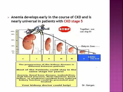 Diagnosis and evaluation of anemia in CKD/HD - ppt video onl