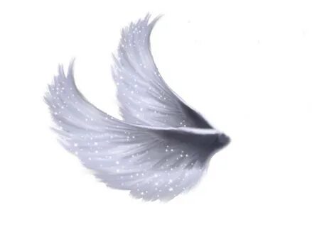 Wings Png 5 by Moonglowlilly on DeviantArt Wings png, Angel 