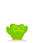 New Logo for Duolingo done In-house Animation, Duolingo, Ani