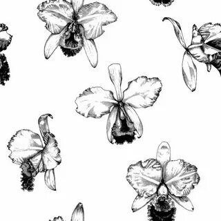 Premium Vector Hand drawn cattleya orchid flower pattern bac