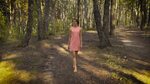 Young girl in a pink dress is walking in the woods Stock Vid