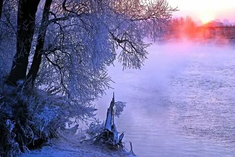 Лес - прекрасен зимой / Forest - beautiful in the winter / Б
