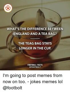 WHAT'S THE DIFFERENCE BETWEEN ENGLAND AND a TEA BAG? THE TEA