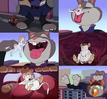 Judge Judy - Animation Screencaps by kdanielss -- Fur Affini