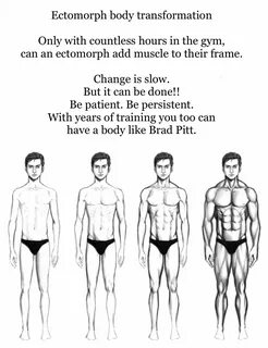 Can ectomorph have boobs
