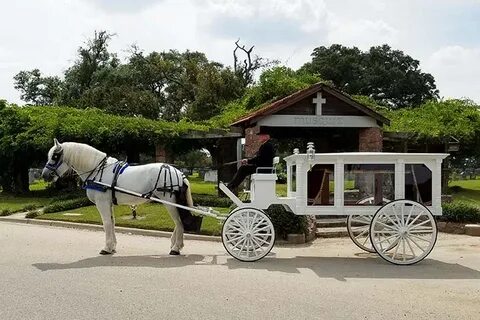 Horse and Carriage Ride Special Events & Occasions Houston C