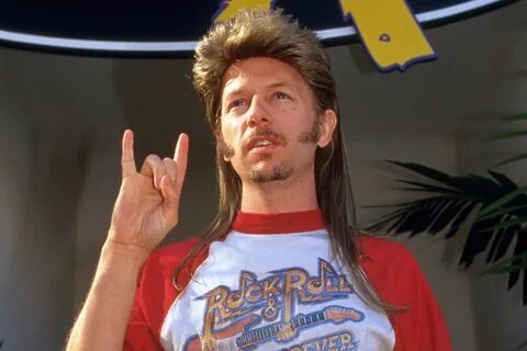 Joe Dirt 2' Is in the Works as a Made-for-Streaming Movie