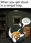 Sergal trap Furry meme, Anthro furry, Furry comic