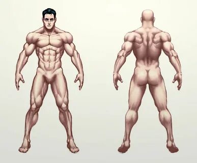male study by Jiggeh on DeviantArt Anatomía humana, Como dib