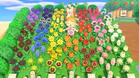 One of every flower rainbow garden - finally complete! : Ani