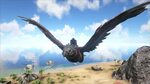Saddle up With the Best Ark: Survival Evolved Mounts ARK: Su