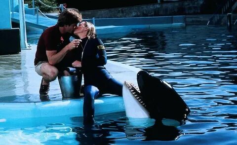 Denise cheshire jaws.