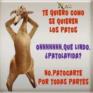 Te Quiero Como Los Patos - Yo Alucino Piropos para hombres, 