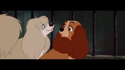 The Lady and the Tramp screenshots © Lady & The Tramp