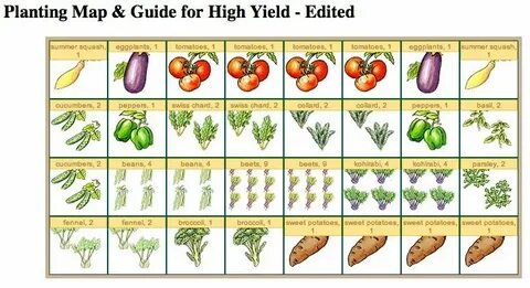 Miraculous Raised Vegetable Garden Layout 4x8 on Garden Idea