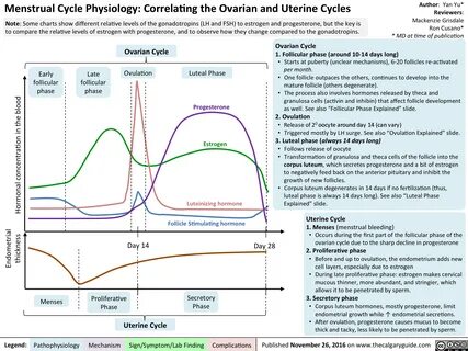 Menstrual Cycle Physiology: Correlating the Ovarian ... Grep