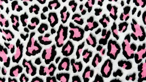 Pictures of Cheetah Print Wallpapers (64+ background picture