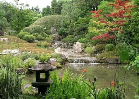 Японский сад в россии (64 фото) .
