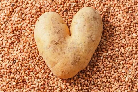 Heart-shaped Raw Fresh Pretty Potato Stock Image - Image of 