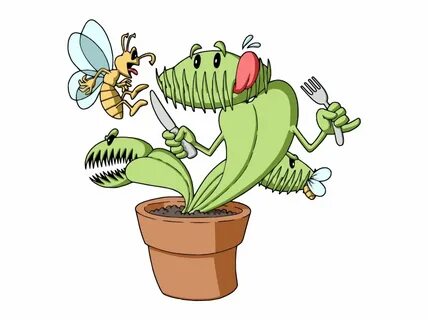 5 Small Plants - Monster Venus Fly Trap Transparent PNG Down
