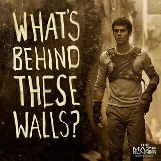 There’s only one way to find out. Run. Maze runner movie, Ma