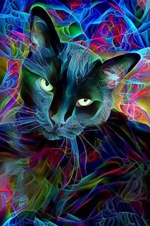 Black Cat Art Psychedelic Art Fractal Art Psychedelic Cat - 