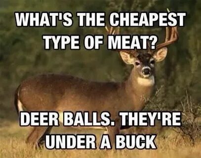 Pin by Kia on Hysterical Hunting jokes, Hunting humor, Redne