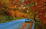 Обои Дорога, Осень, Машина, Car, Fall, Листва, Автомобиль, A