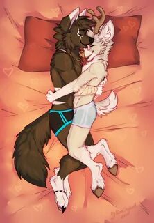 kincishepholf Bedtime Snugglies by J-Shiro -- Fur Affinity d