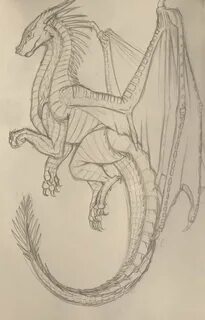 10+ Best For Easy Wings Of Fire Dragon Drawing Nasma Druga