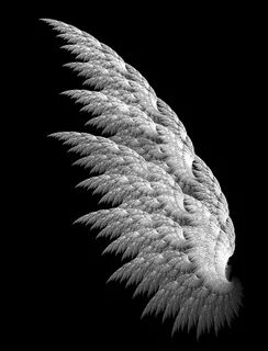 fractal wing Angel wings art, Angel wings pictures, Wings wa