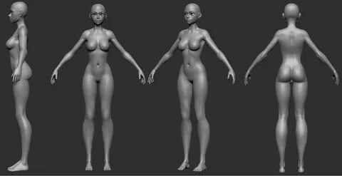 Stylized Female Anatomy Женские тела, 3d персонаж, Низкополи