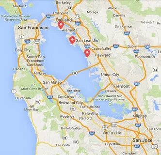 Substance spill threatens seabirds in San Francisco Bay San 