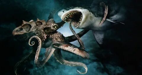 Set of Giant Octopus Picture on Animal Picture Society Paint